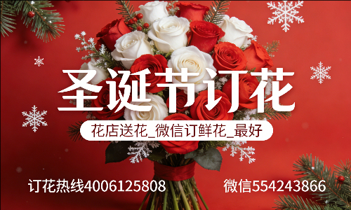 ���ݿ³�������